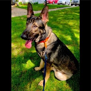 Meet your Posher, Kyle